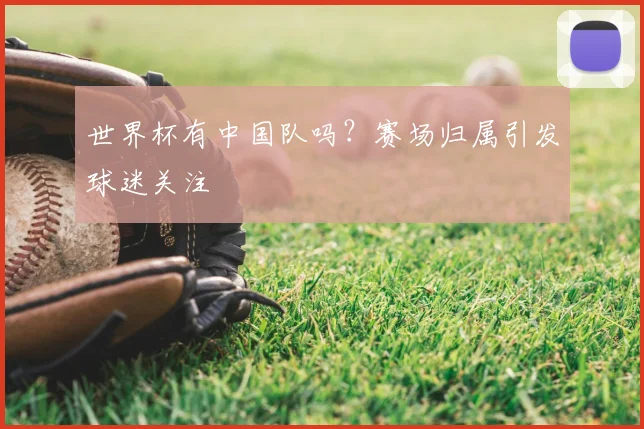 世界杯有中国队吗?赛场归属引发球迷关注